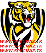 Verified Alarm Response