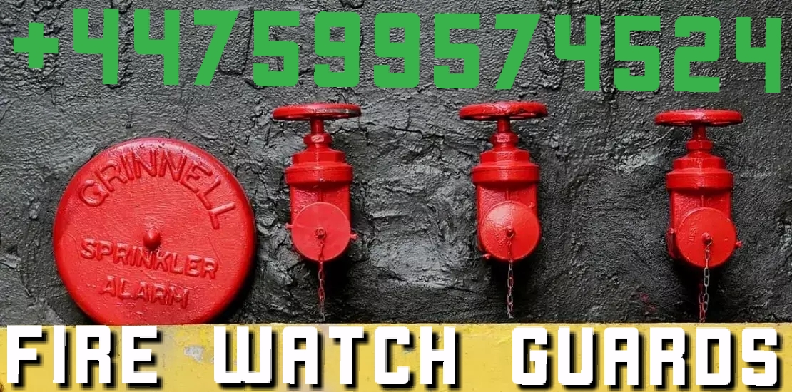 Armed Close Protection Services